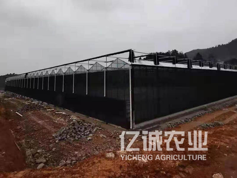 智能連棟溫室大棚造價(jià) 智能連棟溫室大棚造價(jià)