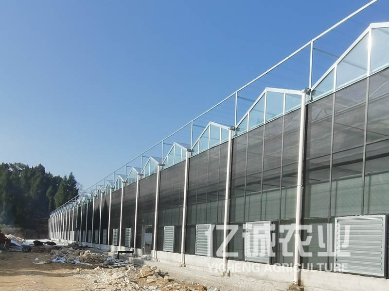 玻璃溫室大棚 玻璃溫室大棚