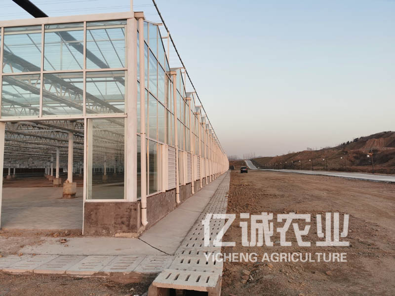 玻璃溫室大棚 玻璃溫室大棚