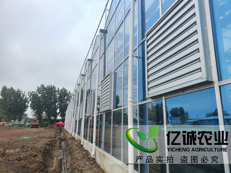 連棟玻璃溫室大棚 連棟玻璃溫室大棚