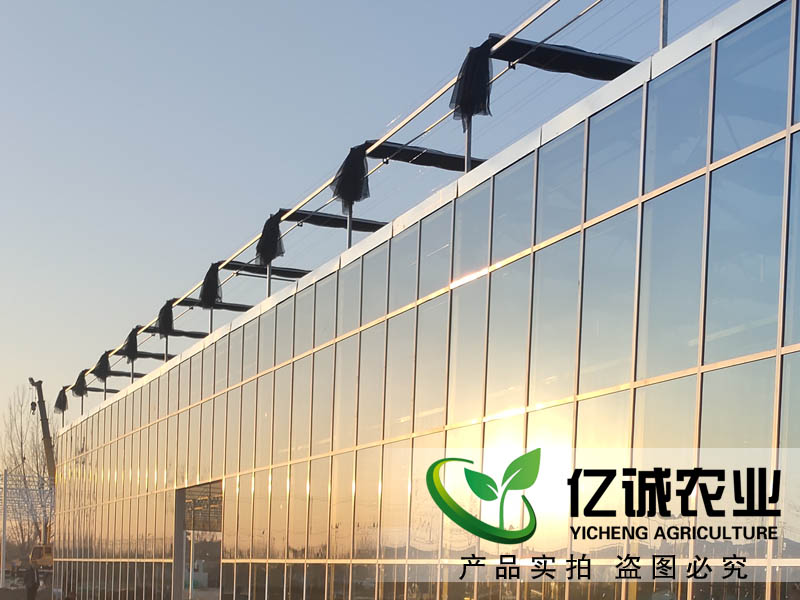 智能玻璃溫室大棚 智能玻璃溫室大棚