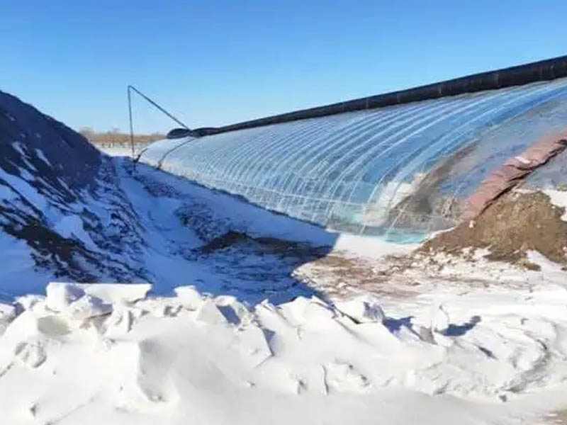 連棟溫室大棚 連棟溫室大棚