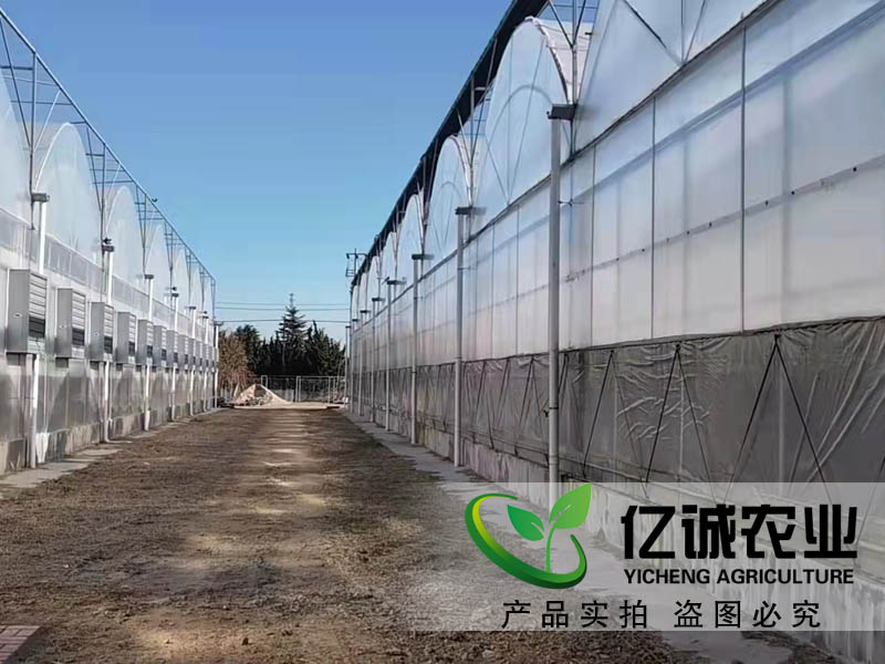 聯(lián)棟溫室 聯(lián)棟溫室