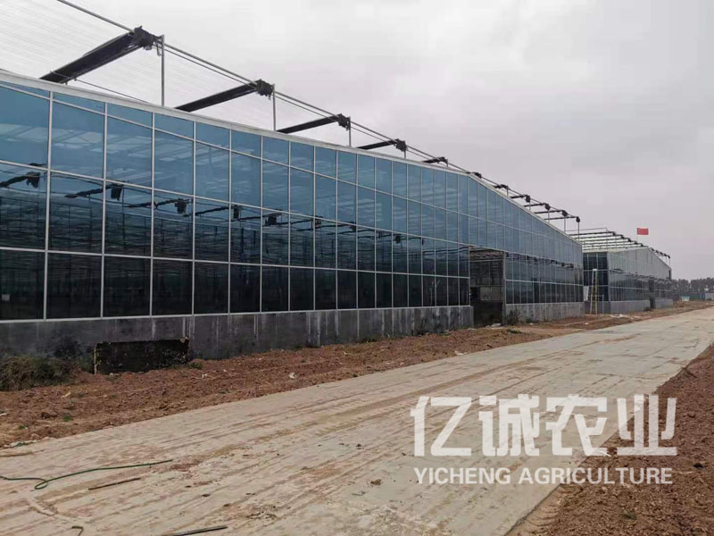 連棟薄膜溫 連棟薄膜溫