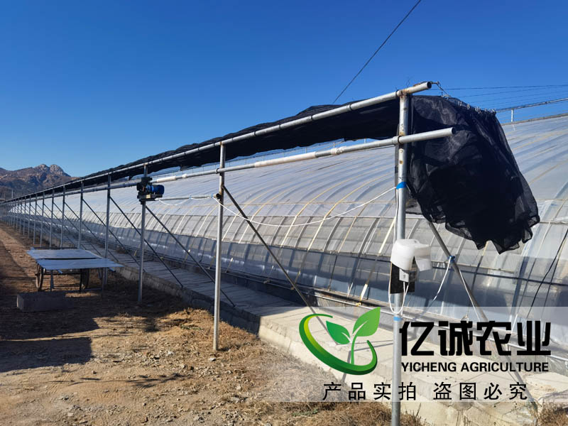 玻璃連棟大棚 玻璃連棟大棚