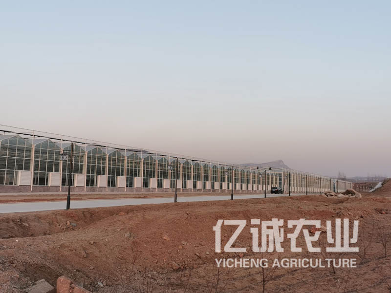 連棟玻璃溫室大棚建設(shè) 連棟玻璃溫室大棚建設(shè)
