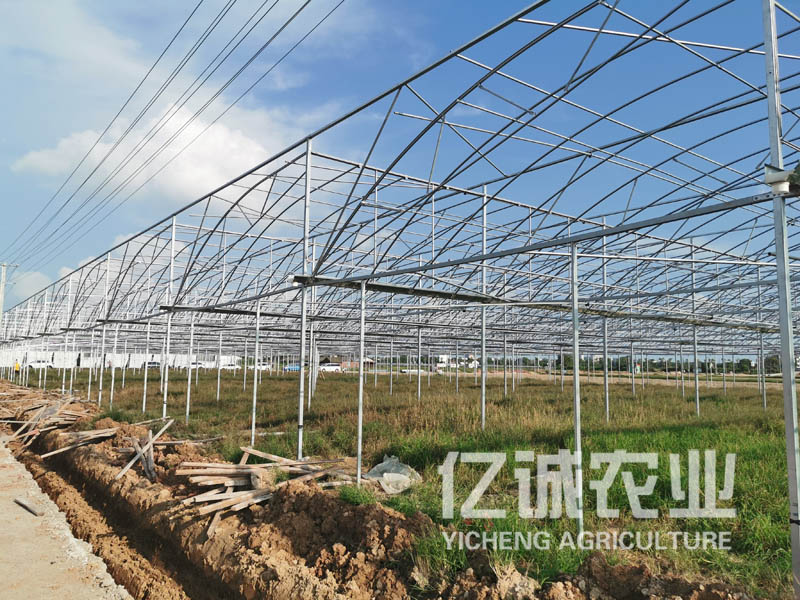 現(xiàn)代化玻璃溫室大棚廠家 現(xiàn)代化玻璃溫室大棚廠家