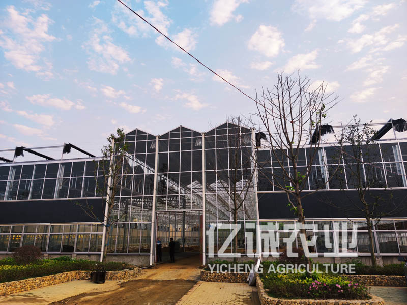 玻璃溫室大棚應(yīng)用類(lèi)型有哪些？