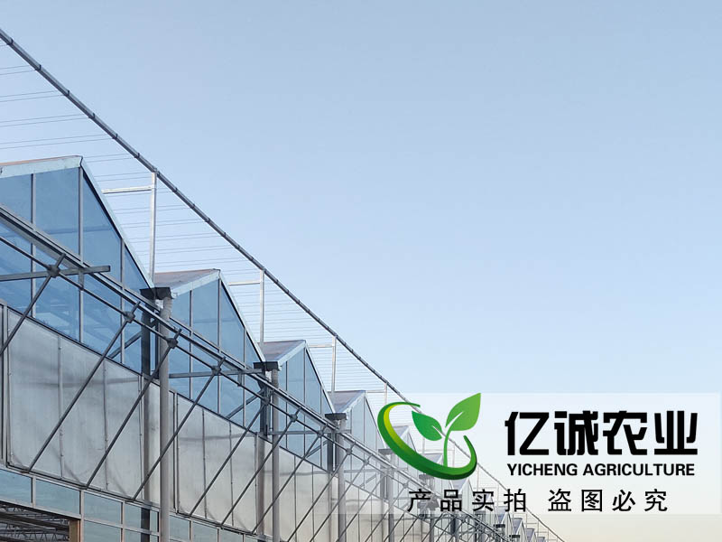 1000平方米玻璃溫室造價(jià)多少錢(qián)？?jī)|誠(chéng)農(nóng)業(yè)科技有限公司為您 報(bào)價(jià)