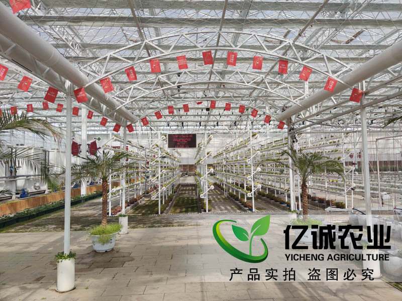 現(xiàn)代農(nóng)業(yè)種植玻璃溫室大棚