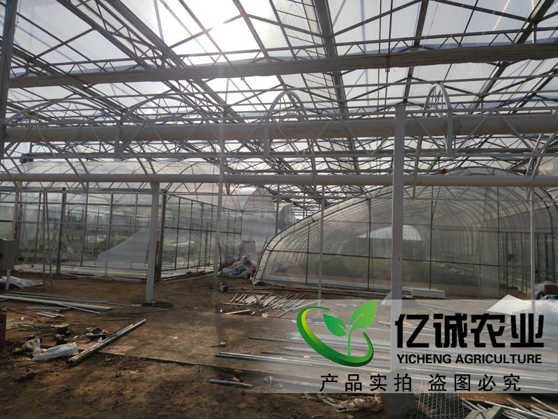 景觀玻璃大棚溫室 景觀玻璃大棚溫室