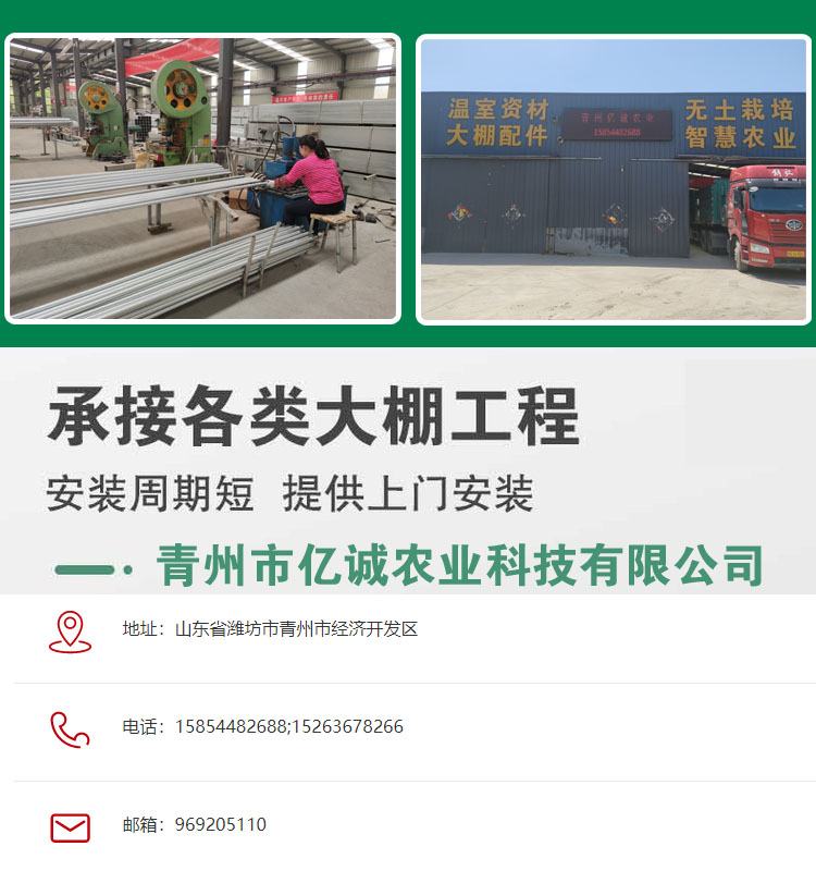 高品質(zhì)荷蘭溫室大棚施工