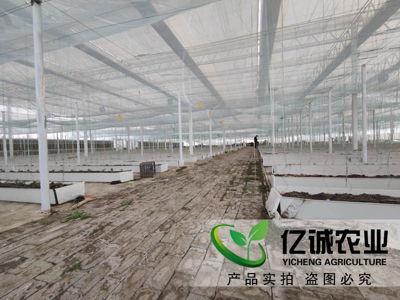 一、現(xiàn)代化玻璃溫室的分類： 1、按結(jié)構(gòu)形式分：有單坡面雙坡面、單坡面三坡面和雙坡面三坡度等四種類型； 2、按后屋面高度分：有高腳式和低腳式兩種類型； 3、根據(jù)前墻的結(jié)構(gòu)不同分為土墻和后砌磚墻兩種； 4、根據(jù)后屋面的形狀可分為平頂和平頂加斜度兩種； 二、現(xiàn)代化玻璃溫室的性能特點(diǎn)： 1、透光性； 　　透明度高是評(píng)價(jià)光照強(qiáng)度的重要指標(biāo)之一，透光率是指透入光線中的可見光的百分率，表示的是單位面積上所接受的太陽輻射量的大小.透過率受多種因素的影響而變化.在冬季由于太陽高度角小和大氣透明度差的影響，使透光率下降很快；夏季則因 反射率高和空氣透明度好而使透光率有所提高； 2、保溫性； 　　保溫性能包括兩個(gè)方面：一是保溫和蓄熱能力；二是保持適宜的小氣候的能力.前者指在一定的時(shí)間范圍內(nèi)室外氣溫保持一定的程度；后者是指能夠滿足作物生長的需要而在較長時(shí)間內(nèi)（1～2個(gè)月或更長一些時(shí)間）外界氣溫保持相對(duì)穩(wěn)定的能力； 3、抗風(fēng)雪性； 　　抗風(fēng)雪的性能主要體現(xiàn)在兩個(gè)方面：一是防風(fēng)作用——即抵抗大風(fēng)的作用力大小以及抵抗大雪的作用力大小兩方面.其值越大越好！二是防雪作用——即在降下 大雪時(shí)對(duì)作物產(chǎn)生多大的影響以及多長時(shí)間才能恢復(fù)生長等方面的問題！其值越小越好； 4、耐候性； 　　耐候性好是指在高溫干旱寒冷條件下都能正常生長結(jié)實(shí)而不致受害的特性！通常所說的耐熱性和耐寒性的要求實(shí)際上就是指的 耐候性好的意思！當(dāng)然這也不是絕對(duì)的！